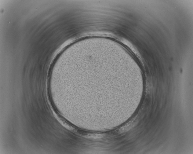 X0000085081237200704021428