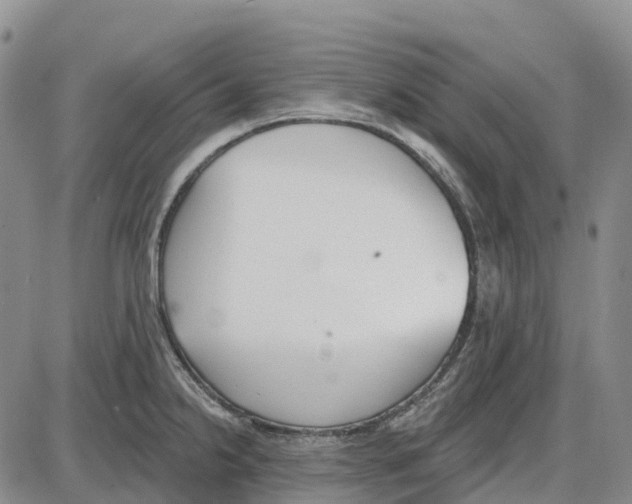 X0000085081238200704021428