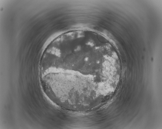 X0000085081239200704021428