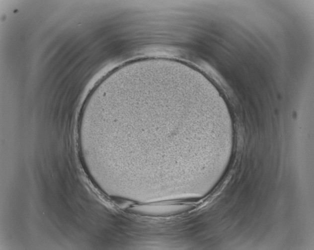 X0000085081240200704021428