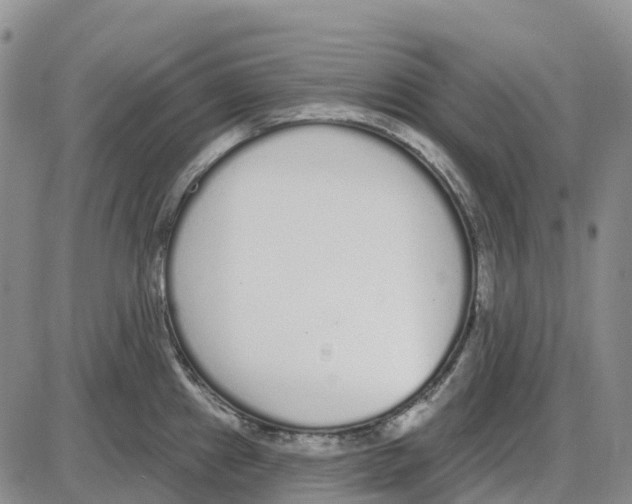 X0000085081241200704021428