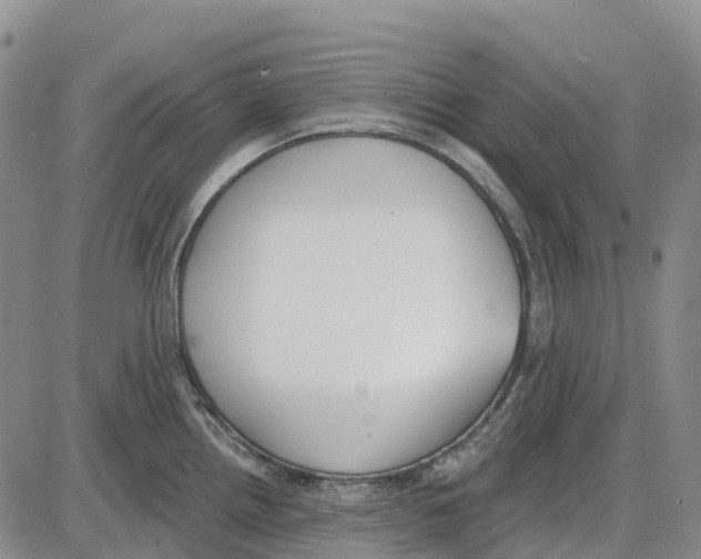 X0000085081242200704021428