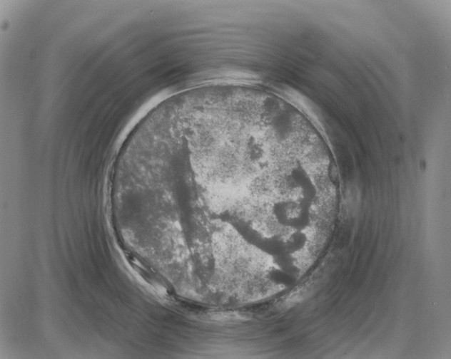 X0000085081243200704021428