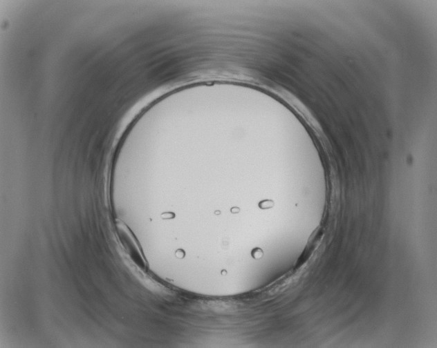 X0000085081246200704021428