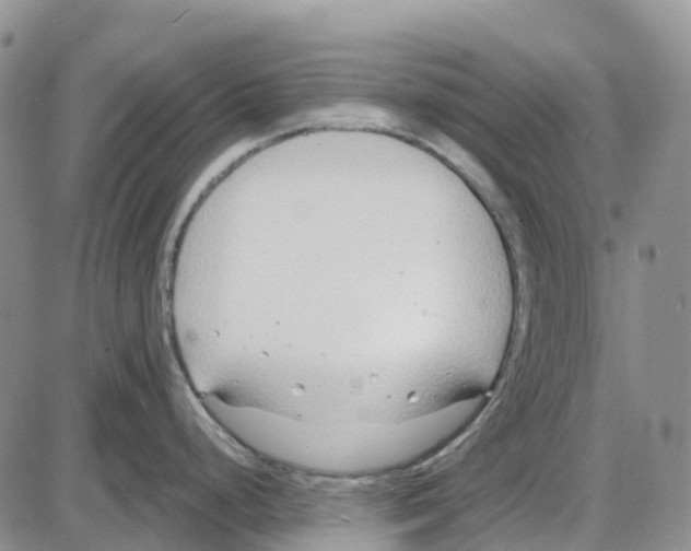 X0000085081248200704021428