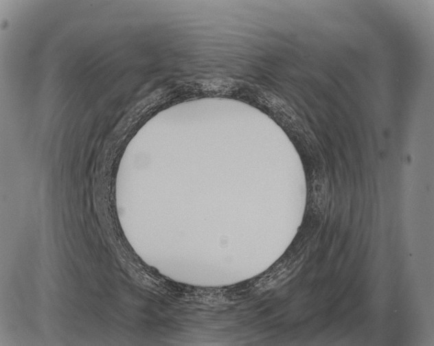 X0000085081249200704021428