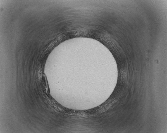 X0000085081250200704021428