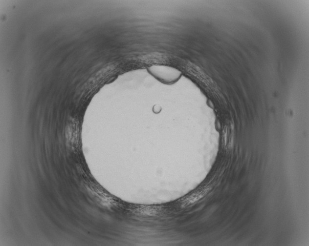 X0000085081251200704021428