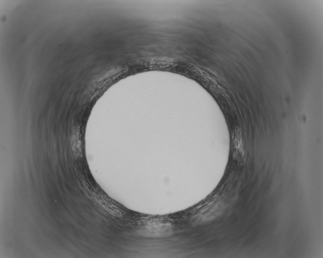 X0000085081252200704021428