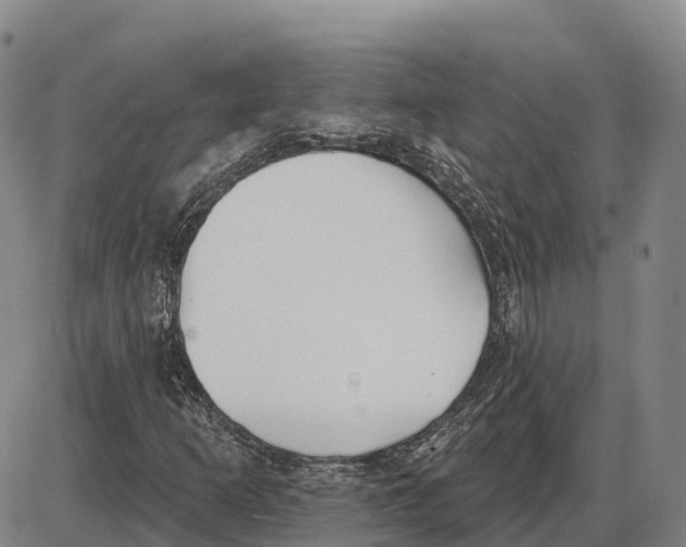 X0000085081253200704021428