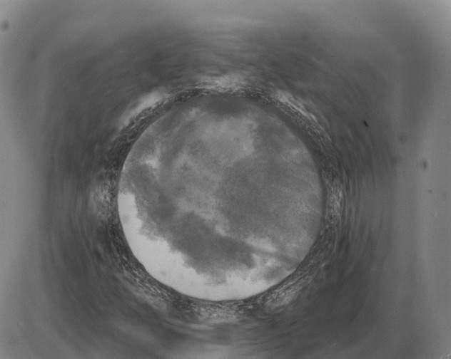 X0000085081254200704021428