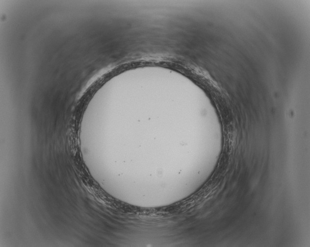 X0000085081256200704021428