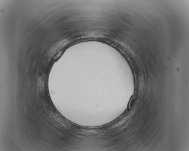 X0000085081257200704021428