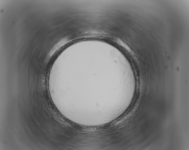 X0000085081259200704021427