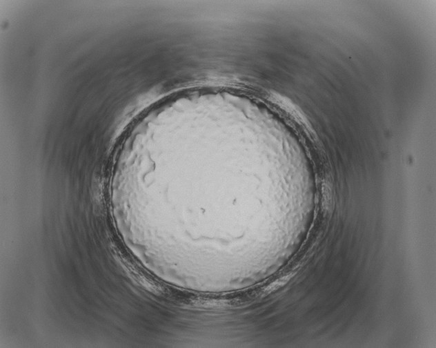 X0000085081260200704021427