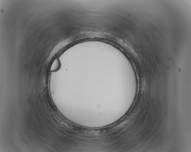 X0000085081261200704021427