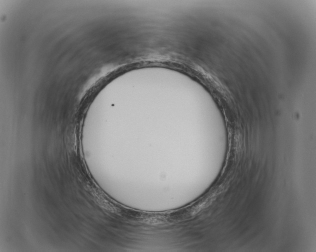 X0000085081262200704021427