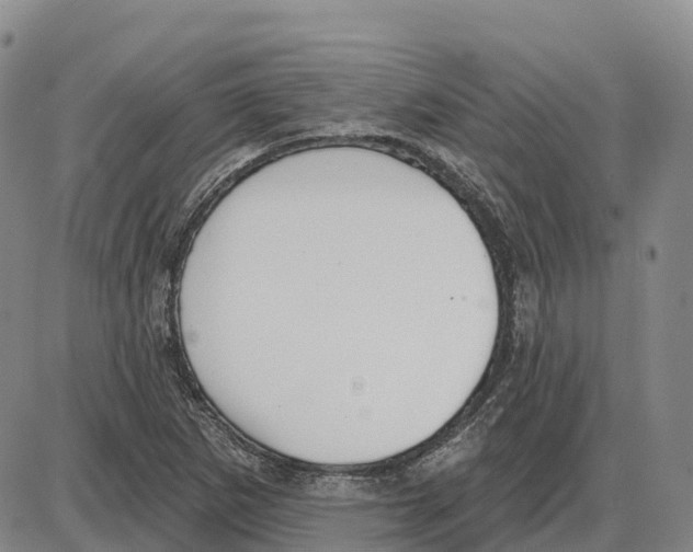 X0000085081265200704021427