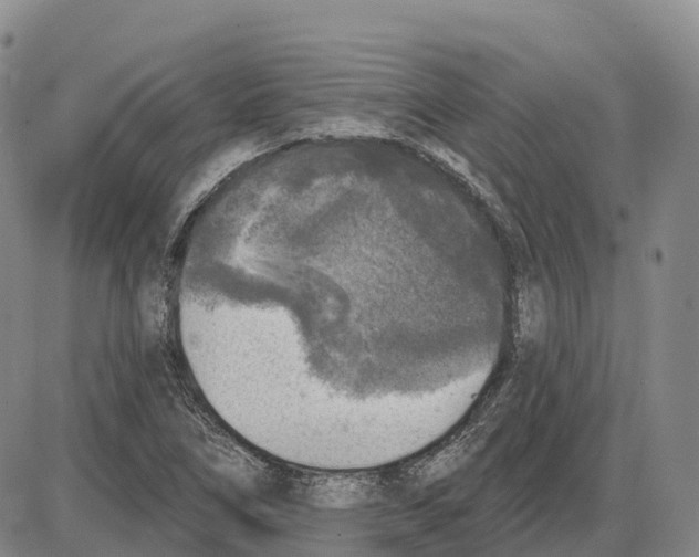 X0000085081266200704021427