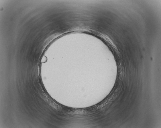 X0000085081268200704021427