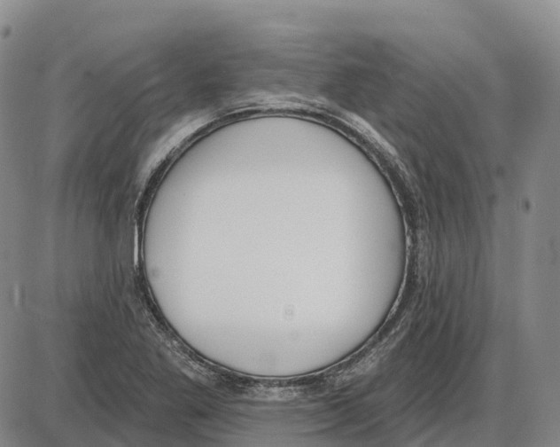 X0000085081269200704021427