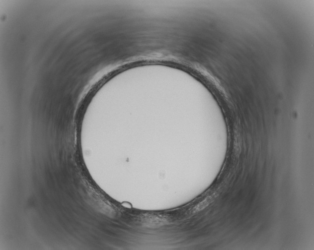 X0000085081270200704021427