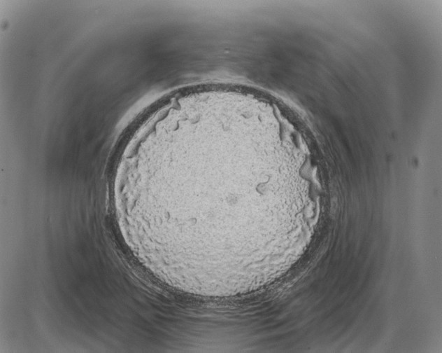 X0000085081271200704021427