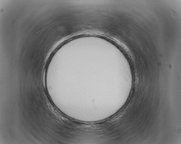 X0000085081272200704021427