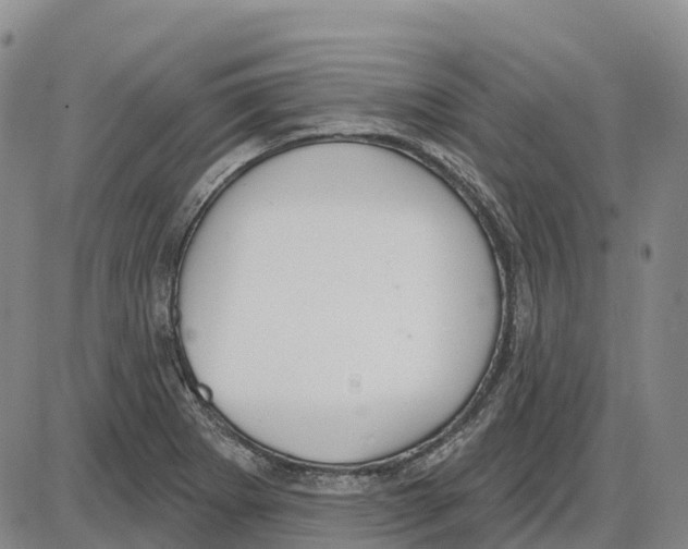 X0000085081273200704021427