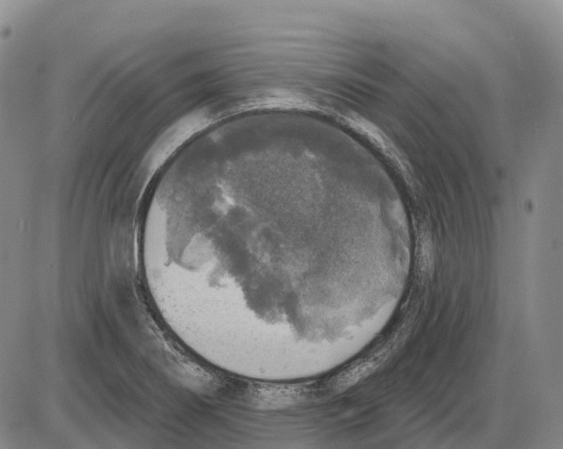 X0000085081274200704021427