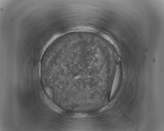 X0000085081275200704021427