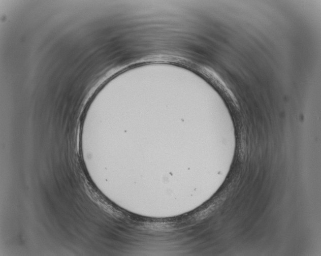 X0000085081276200704021427