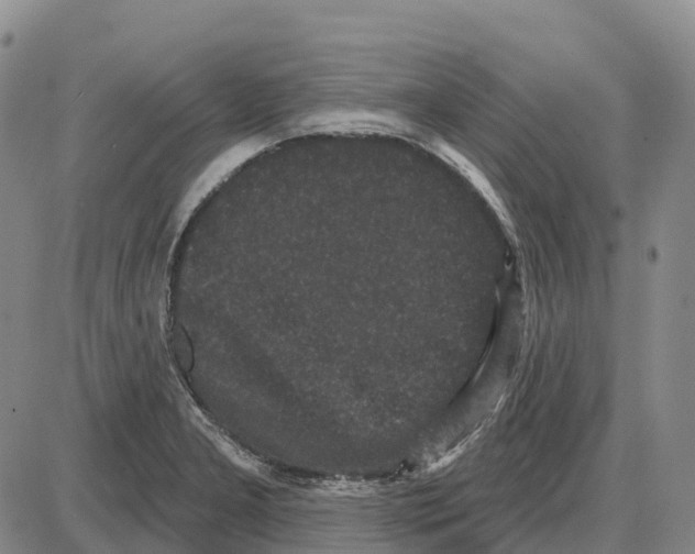 X0000085081277200704021427