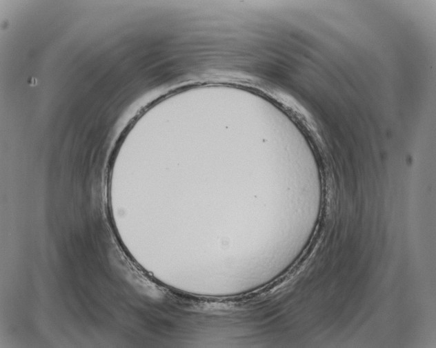 X0000085081280200704021427