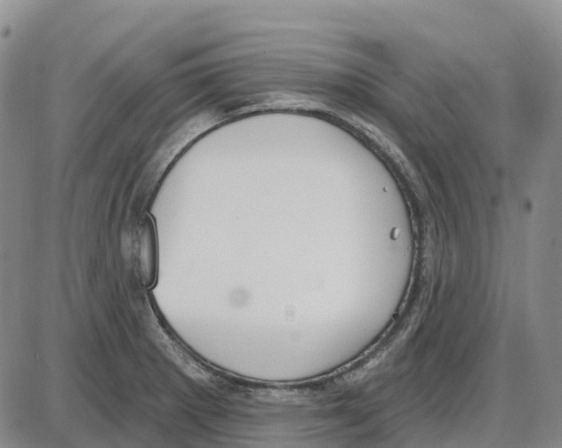 X0000085081281200704021427