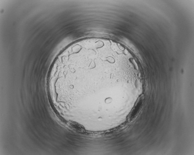 X0000085081283200704021427