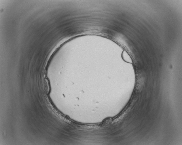 X0000085081284200704021427