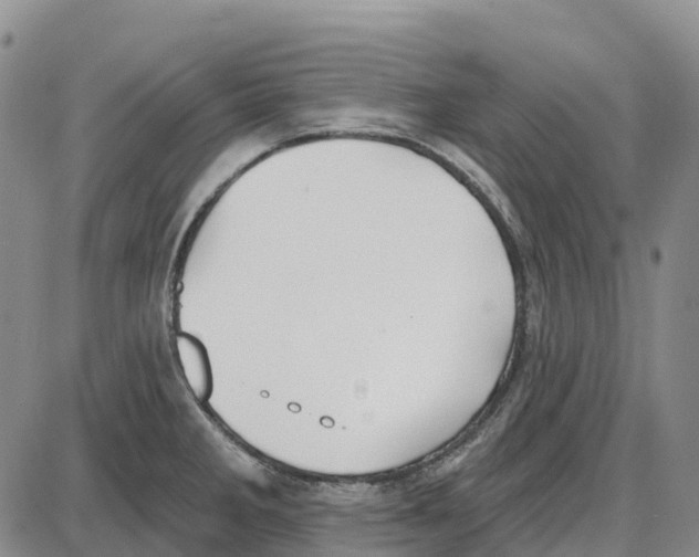 X0000085081285200704021427