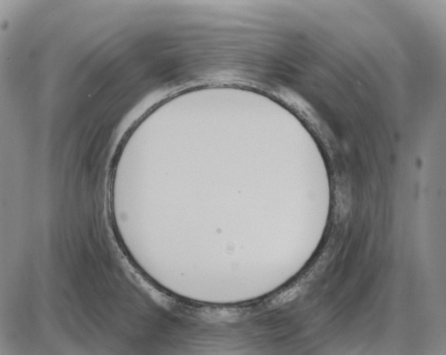 X0000085081286200704021427