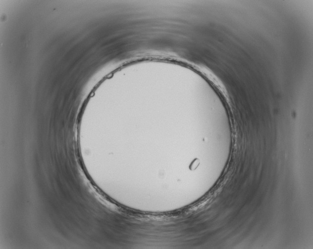 X0000085081287200704021427