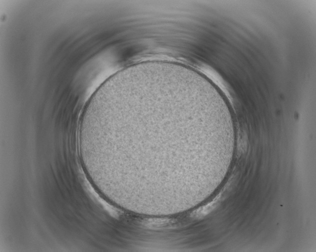 X0000085081290200704021427