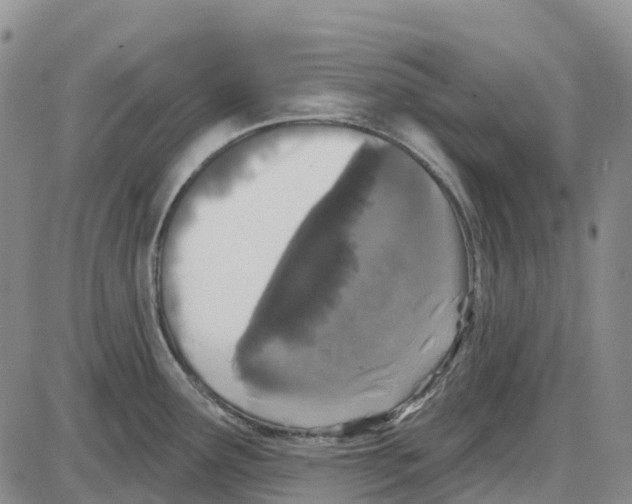 X0000085081291200704021427