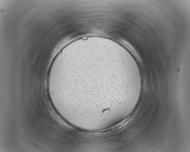 X0000085081292200704021427