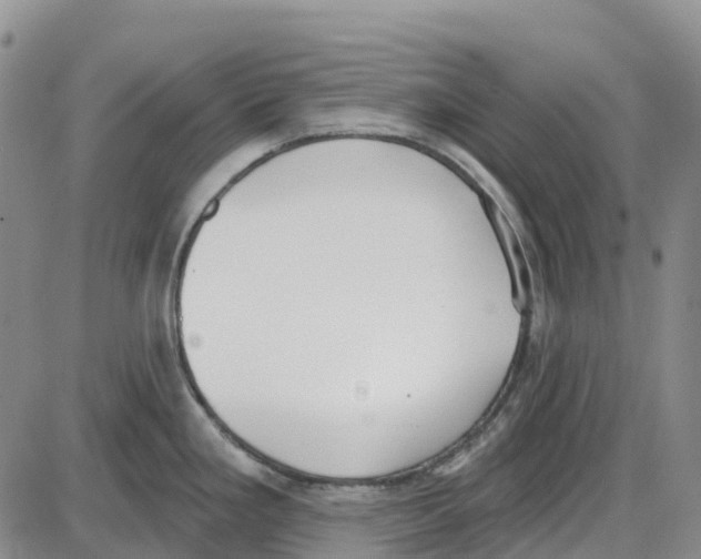 X0000085081293200704021427