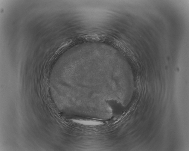 X0000085081297200704021426