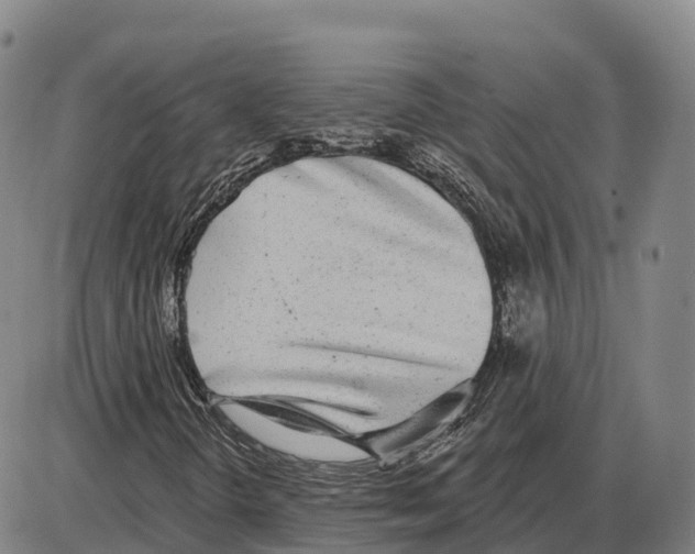 X0000085081298200704021426