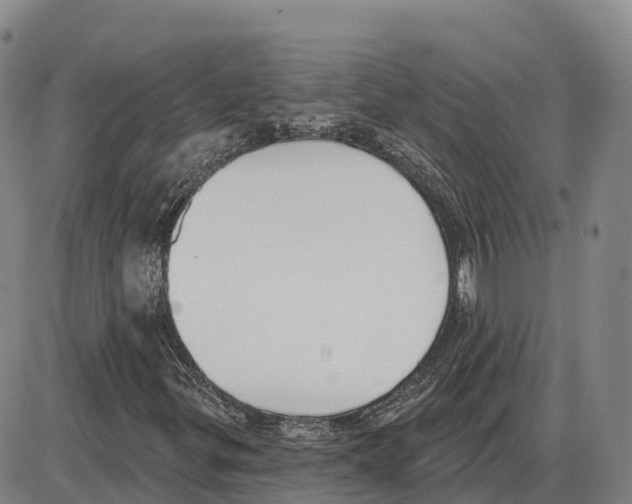 X0000085081299200704021426