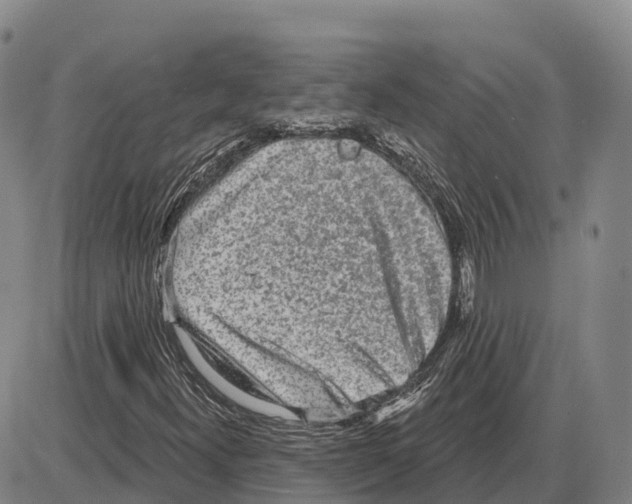 X0000085081300200704021426