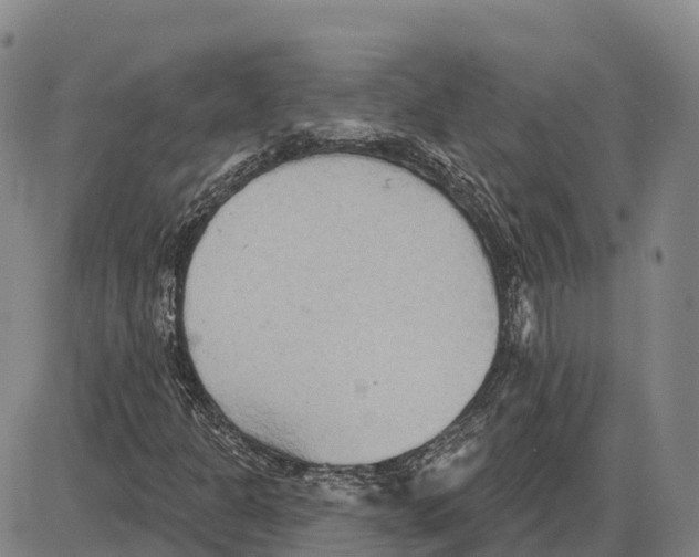 X0000085081301200704021426