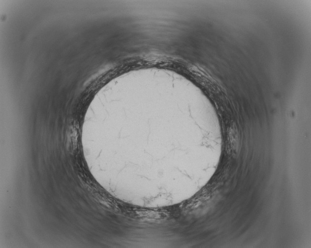 X0000085081302200704021426